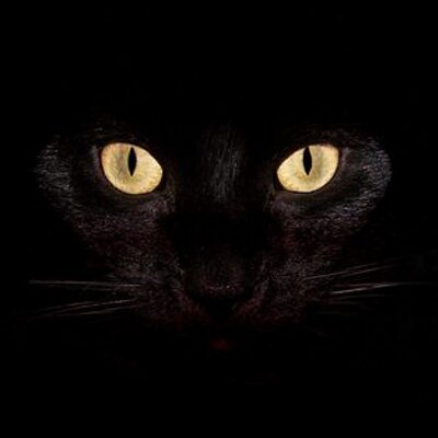Profile Picture of Marc René Fey (@MarcRenFey) on Twitter