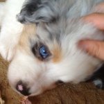 Profile Picture of M A C Y🐬 (@macy.mccall) on Instagram