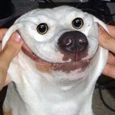 Profile Picture of Nathan Boudreau (@NathanB80666517) on Twitter