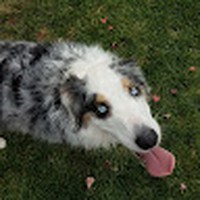 Profile Picture of Morgan Homer (@morgan-homer-1) on Quora