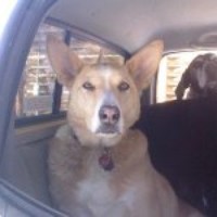 Profile Picture of Tara Martin (@tara-martin-7) on Quora