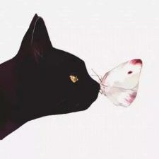 Profile Picture of Hao HOWARD Sun (@Howardsun20) on Twitter