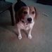 Profile Picture of Fred Veeder (@fred.veeder.5) on Facebook