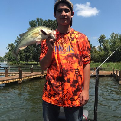 Profile Picture of Nick Fain (@FainNick) on Twitter