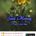 Profile Picture of Ramachandra Raju (@ramachandra.raju.73113) on Instagram