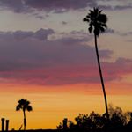 Profile Picture of Jimmy Nickerson (@jamesnick18) on Instagram