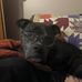 Profile Picture of Tammy GabbardTinker (@tammy.gabbardwilton) on Facebook