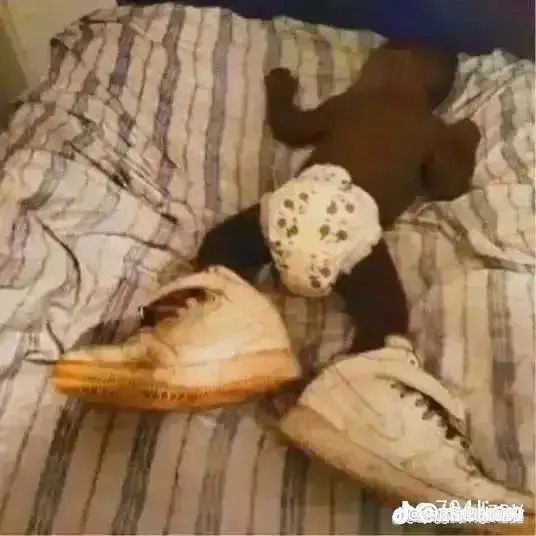 Profile Picture of Mark Aulabaugh (@mark3442_aulabaugh) on Tiktok