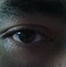 Profile Picture of Daniel Mushroom (@daniel.mushroom.5) on Facebook