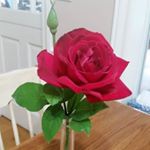 Profile Picture of Eric Thompson (@ericthompson514) on Instagram