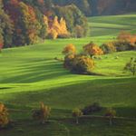 Profile Picture of Mark Saxby (@thesaxbomb) on Instagram