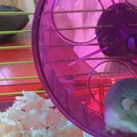 Profile Picture of Barry Mccarthy (@barry-mccarthy-7) on Quora