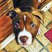 Profile Picture of Eric Empey (@ericempey) on Pinterest