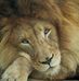 Profile Picture of Darrell Littlejohn (@darrell.littlejohn.77) on Facebook