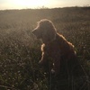 Profile Picture of Candy (@candy_obrien) on Tiktok