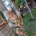 Profile Picture of Lucia Di Piazza (@lucia.dipiazza.7) on Facebook