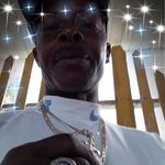 Profile Picture of James Cherry (@james_wild_cherry) on Instagram