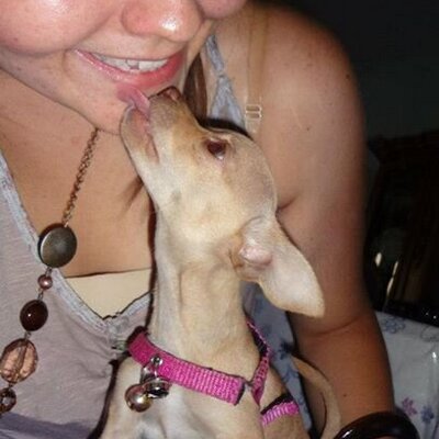 Profile Picture of Alejandra Alvizo (@JessAle_AQ) on Twitter