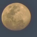 Tere Rivas - Facebook Profile Picture of Tere Rivas (@Tere-Rivas) on Facebook