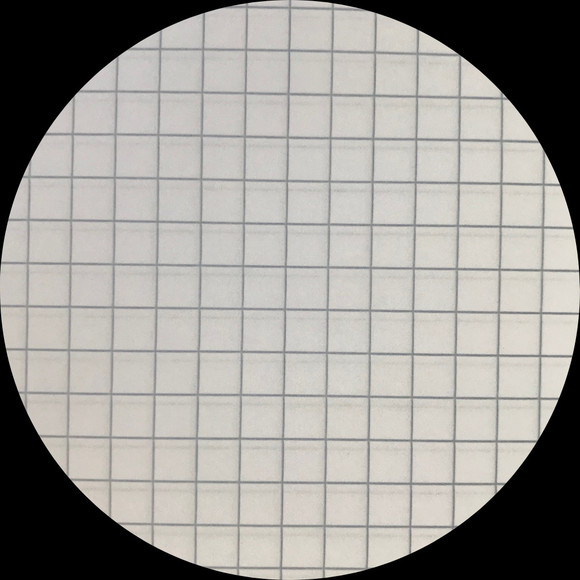 Profile Picture of J Urso (@askyvette) on Poshmark