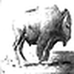 Profile Picture of Fernando Benito (@fernando (fabt2003)) on Flickr