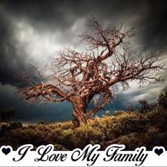 Profile Picture of Raymond Valley (@raymondvalley) on Tiktok