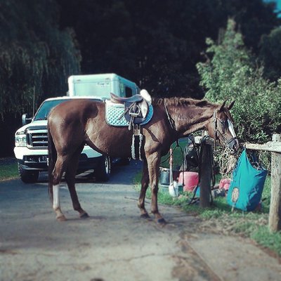 Profile Picture of Mary Langdon Herbert (@Bonny5069) on Twitter