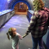 Profile Picture of Nanci Perkins (@nanci-perkins) on Quora