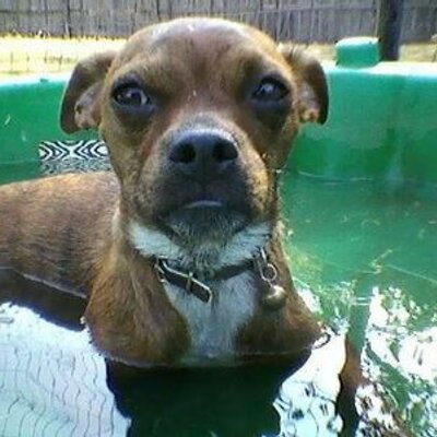Profile Picture of Chris Crandall (@gcrandall76) on Twitter