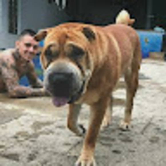 Andriana Andriopoulos - Poshmark Profile Picture of Andriana Andriopoulos (@andrianatui71) on Poshmark