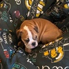 Profile Picture of Shelby.engl (@shelby.engl) on Tiktok