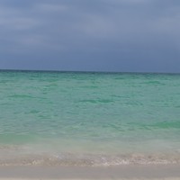 Profile Picture of Kelly Schleicher (@kelly-schleicher-1) on Quora