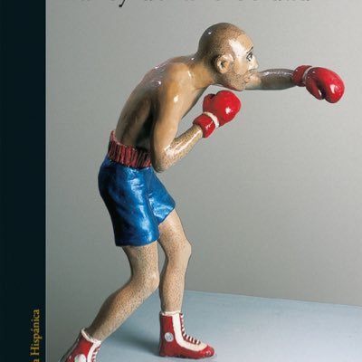 Profile Picture of David Ray (@boxeadorletrado) on Twitter