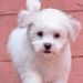 Profile Picture of Beverly Velte Herren (@baherren) on Pinterest