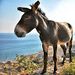 Profile Picture of Zachary Ellison (@ellison1580) on Pinterest
