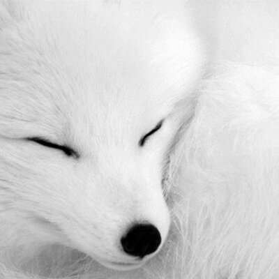 Profile Picture of Simon Farrell (@Simonfarrell13) on Twitter