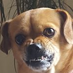 Profile Picture of jenna (@gigi_phillips) on Instagram