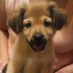 Profile Picture of Joshua Lizarraga (@lizarragajoshua600) on Instagram