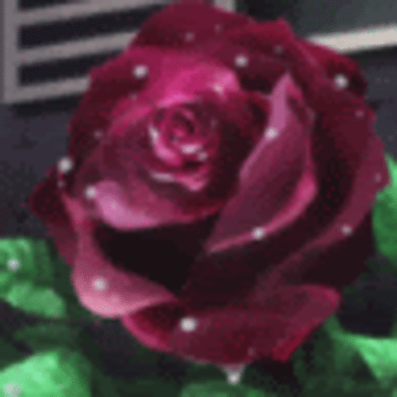 Profile Picture of Imole Lapite (@muhleh) on Poshmark