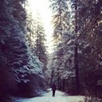 Profile Picture of Eric Hageman (@the_fervens) on Instagram
