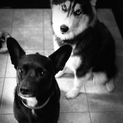 Profile Picture of Melanie Farrow (@melaniefarrow19) on Twitter