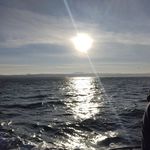 Profile Picture of nathan cundiff (@cundiff.nathan) on Instagram