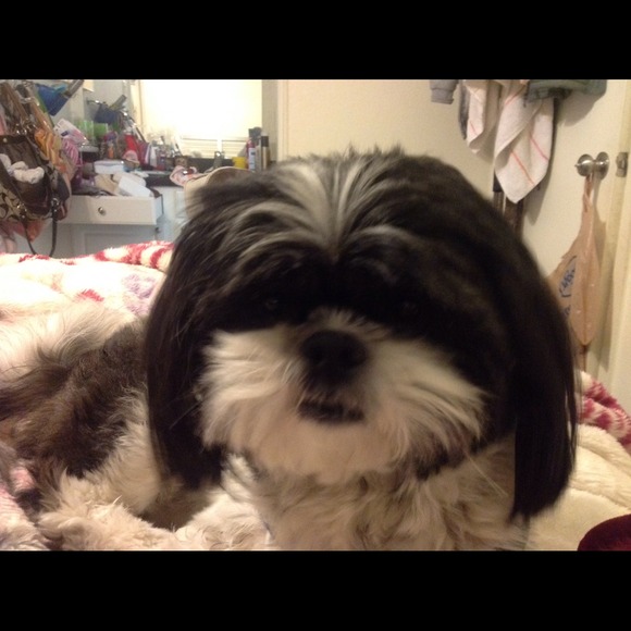 Ana Mendoza - Poshmark Profile Picture of Ana Mendoza (@vicente) on Poshmark