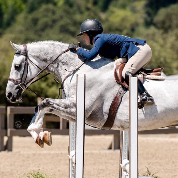 Profile Picture of Lara Connolly (@laraconno) on Poshmark