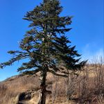 Profile Picture of Joseph Dawes (@haywoodadventure) on Instagram