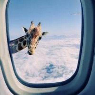 Profile Picture of John Ducker (@johnducker) on Twitter