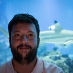Profile Picture of José Lino Neto (@joselinoneto) on Instagram