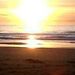 Profile Picture of Pamela Parrish (@geminipam) on Pinterest