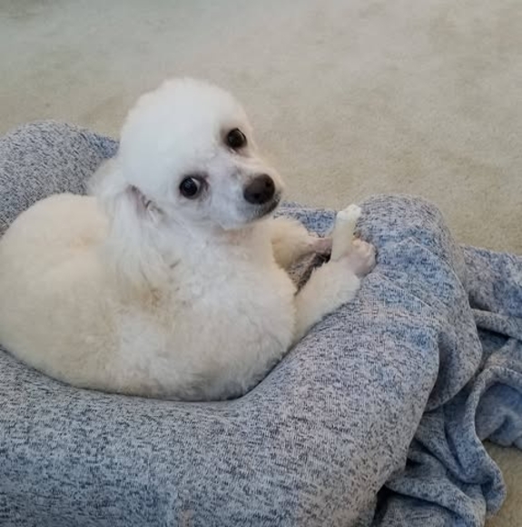 Profile Picture of Kim Reese (@kl_reese) on Poshmark