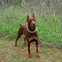 Profile Picture of Lori Coffman (@lori-coffman-14) on Quora